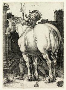 Velký kůň od Albrecht Dürer