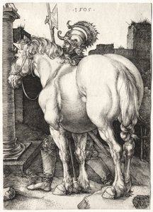 Velký kůň od Albrecht Dürer