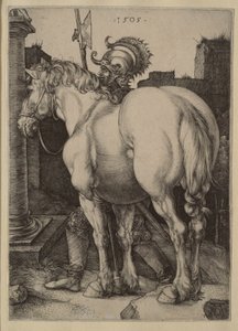  od Albrecht Dürer