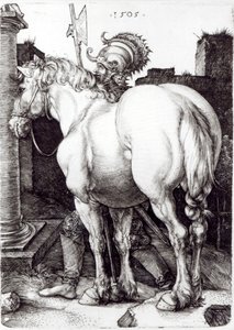 Velký kůň, 1509 od Albrecht Dürer