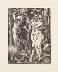 Malé pašije: Pád člověka od Albrecht Dürer