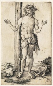  od Albrecht Dürer