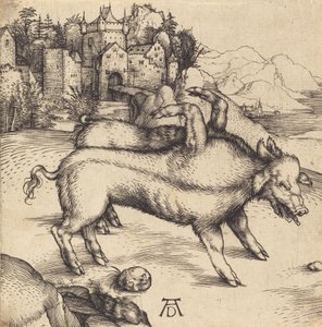 The Monstroous Pig of Landser, pravděpodobně 1496. od Albrecht Dürer