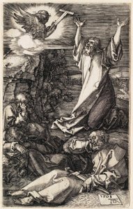  od Albrecht Dürer