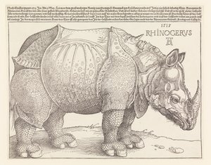 Nosorožec od Albrecht Dürer