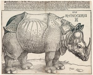 Nosorožec od Albrecht Dürer