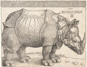 Nosorožec od Albrecht Dürer