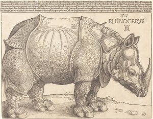 Nosorožec, 1515. od Albrecht Dürer
