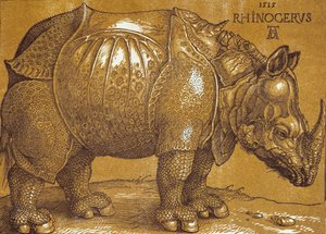 Nosorožec, 1515. od Albrecht Dürer