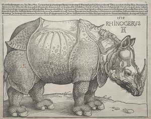 Nosorožec, 1515. od Albrecht Dürer