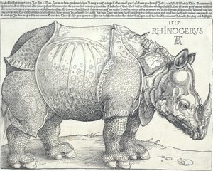Nosorožec, 1515, 1515. od Albrecht Dürer