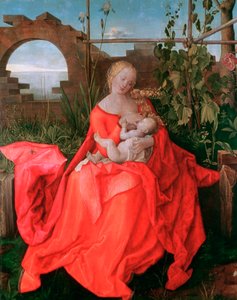 Panna a dítě, Madona s kosatcem, 1500-1510 od Albrecht Dürer