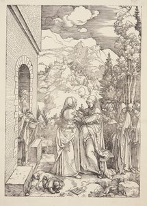 Návštěva od Albrecht Dürer