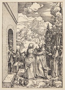 Návštěva od Albrecht Dürer