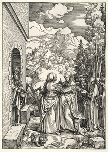 Návštěva od Albrecht Dürer