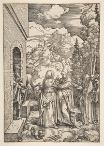 Navštívení ze života Panny Marie, 1503-4. od Albrecht Dürer