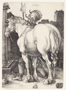 Velký kůň od Albrecht Dürer