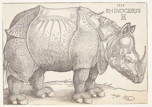 Nosorožec od Albrecht Dürer