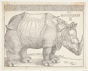 Nosorožec od Albrecht Dürer