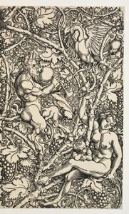 Dva návrhy pro gobelín se satyrfamily od Albrecht Dürer