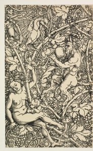 Dva návrhy pro gobelín se satyrfamily od Albrecht Dürer