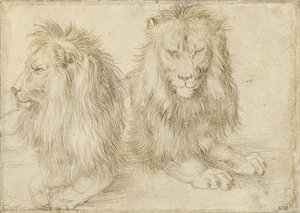 Dva sedící lvi od Albrecht Dürer