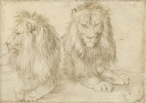 Dva sedící lvi, 1521 od Albrecht Dürer
