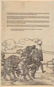  od Albrecht Dürer