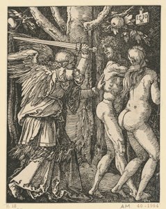  od Albrecht Dürer