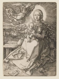  od Albrecht Dürer