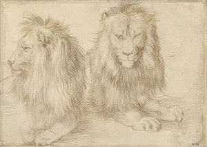 Dva ležící lvi. 1521 od Albrecht Dürer