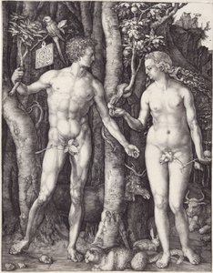 Adam a Eva, hospoda. 1504 (rytina) od Albrecht Dürer
