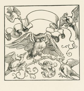 Sova napadená čtyřmi dalšími ptáky, asi 1515 (dřevoryt) od Albrecht Dürer or Duerer