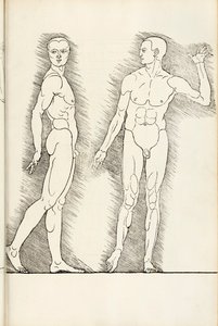 Anatomický dřevoryt z Hierinn sind begriffen vier bücher von menschlicher Proportion, 1528 od Albrecht Dürer