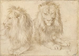 Dva sedící lvi - Kresba Albrechta Durera (1471-1528) od Albrecht Dürer
