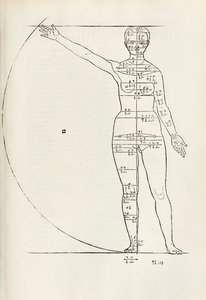 Ženský anatomický dřevoryt z „Tady jsou pochopeny čtyři knihy lidských proporcí“ od Albrecht Dürer