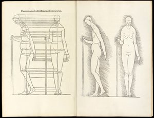 Žena s holí, anatomický dřevoryt z Hierinn sind begriffen vier bücher von menschlicher Proportion, 1528 od Albrecht Dürer