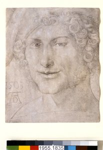Hlava mladého muže, 1503 od Albrecht Dürer