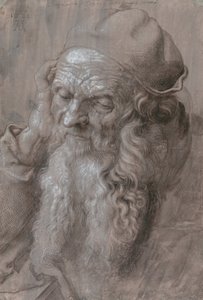 Hlava starého muže od Albrecht Dürer