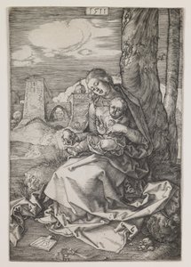 Madona s hruškou od Albrecht Dürer or Duerer
