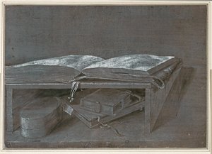 Otevřená kniha (kresba štětcem na hnědém papíře) od Albrecht Dürer or Duerer