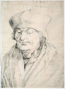 Zastoupení Didiera od Albrecht Dürer