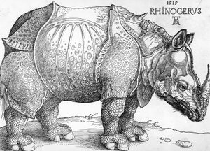 Nosorožec od Albrecht Dürer