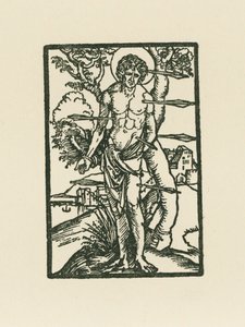 Svatý Sebastian od Albrecht Dürer or Duerer