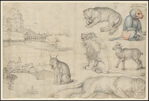 Náčrtky zvířat a krajiny, 1521 od Albrecht Dürer
