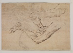 Studie levé nohy ze dvou pohledů od Albrecht Dürer