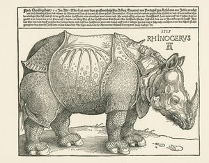 Nosorožec od Albrecht Dürer or Duerer