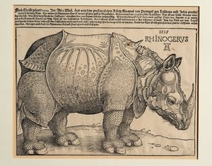 Nosorožec od Albrecht Dürer or Duerer