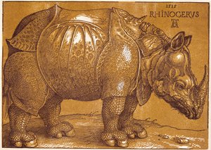 Nosorožec od Albrecht Dürer or Duerer