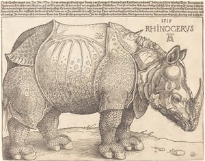 Nosorožec od Albrecht Dürer
